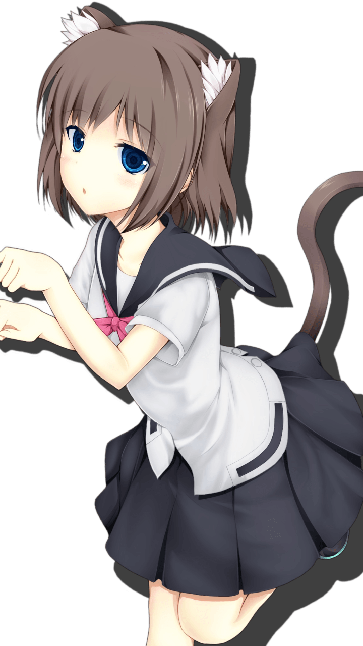 Anime Cat Girls PNG Images HD