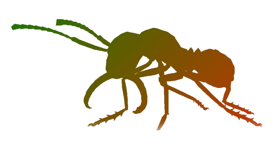Ants Clip Art Transparent Png Png Play