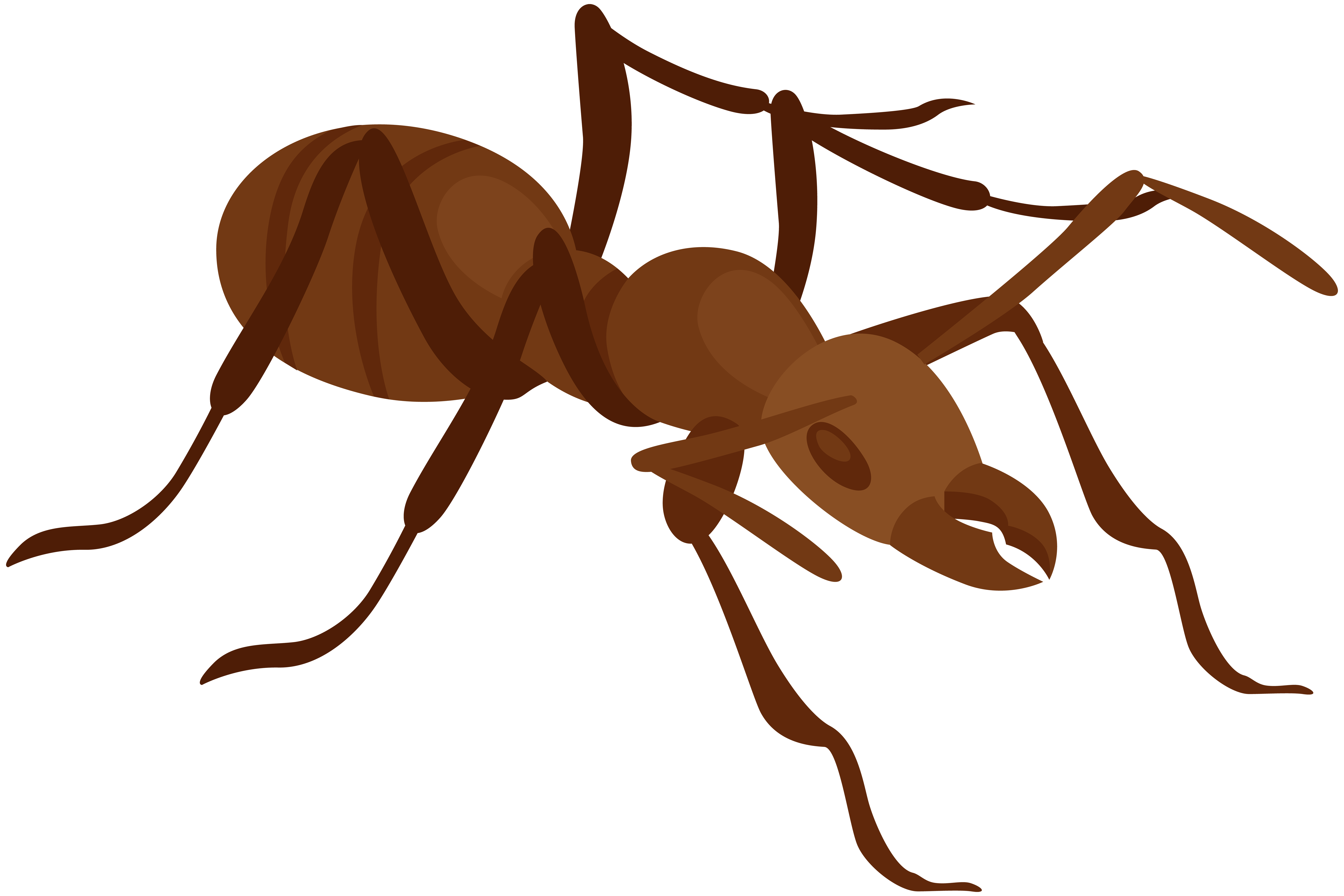 Ants Transparent Images Clip Art