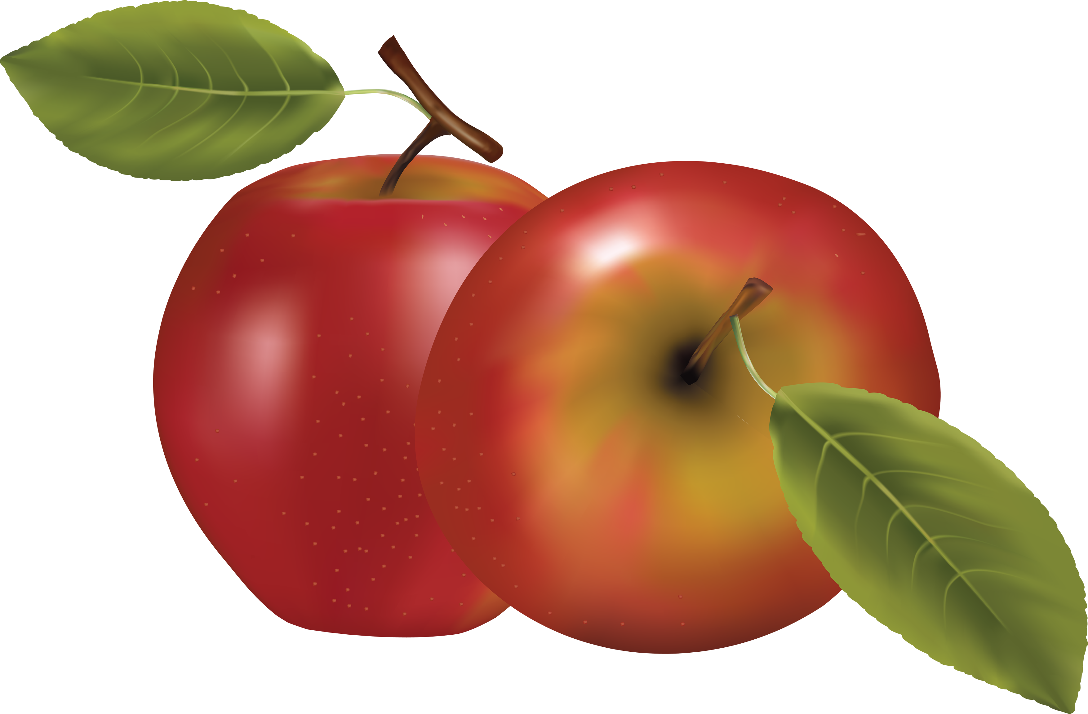 التفاح Clipart PNG خلفية