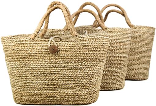 Basket Bag Transparent File