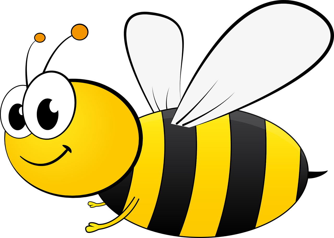 Bee Drawings Download Free PNG