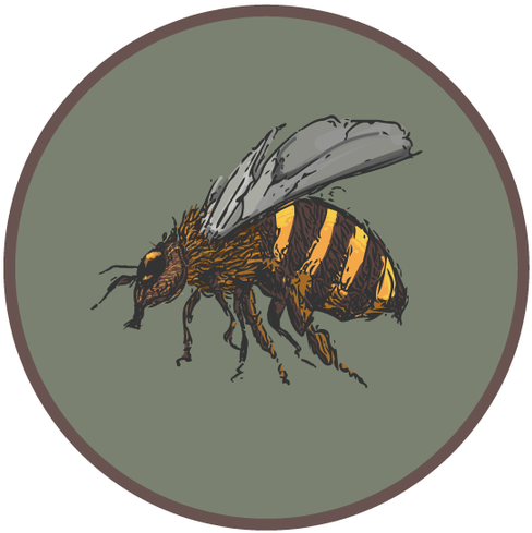 Bee Drawings PNG Photo Image
