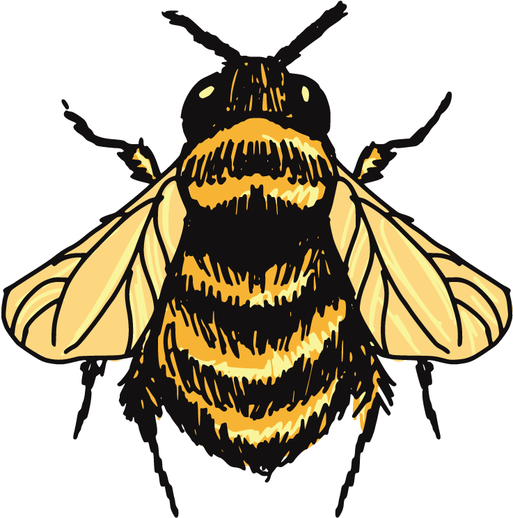 Bee Drawings PNG Photos