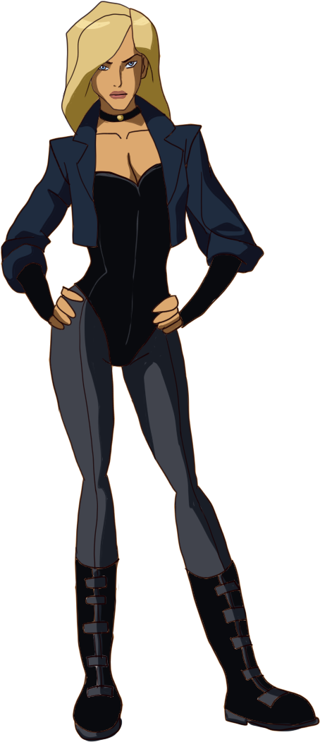 Black Canary PNG HD Quality