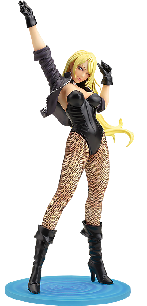 Black Canary PNG Photo Image