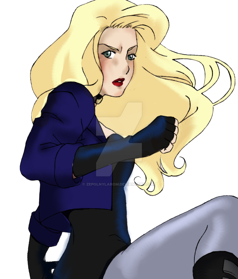 Black Canary Transparent Free PNG