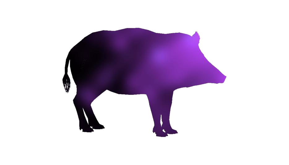 Boar Background PNG Image