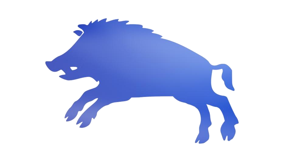 Boar Download Free PNG Clip Art