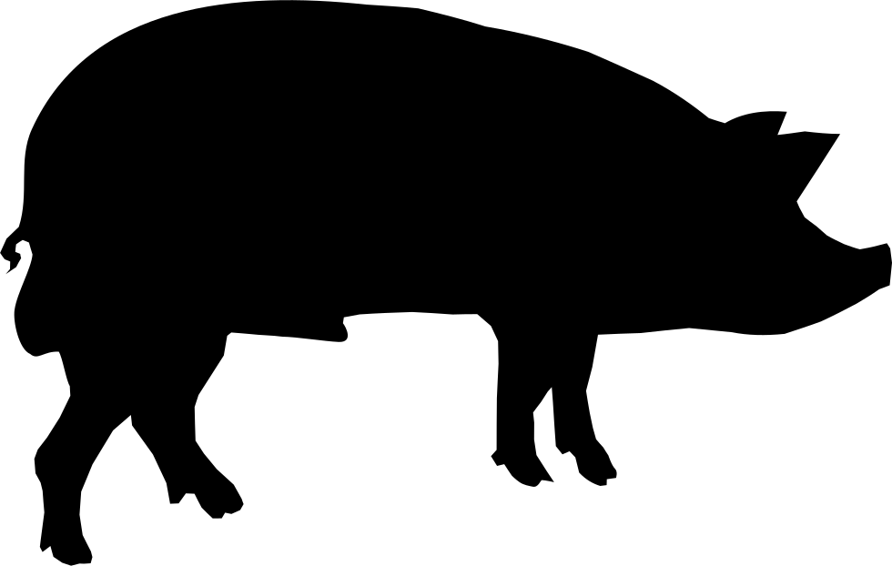 Boar Download Free PNG
