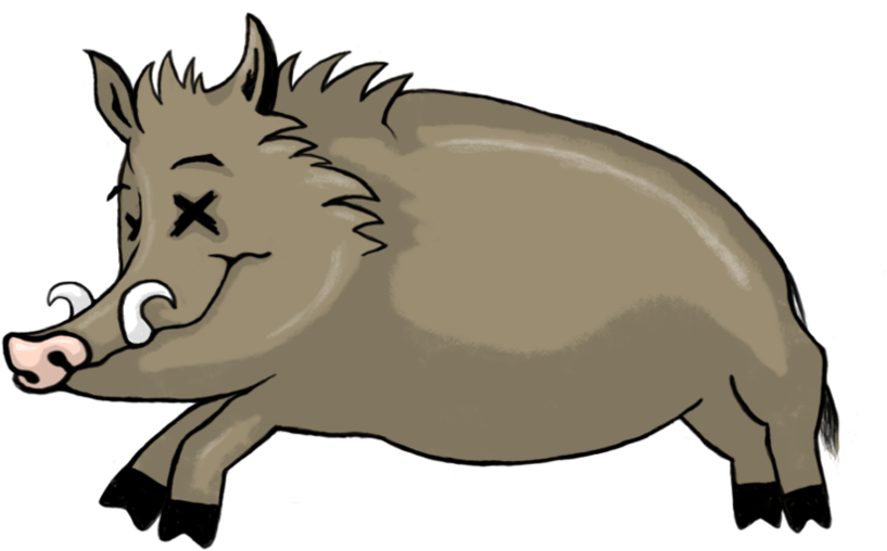 Boar PNG Clipart Background