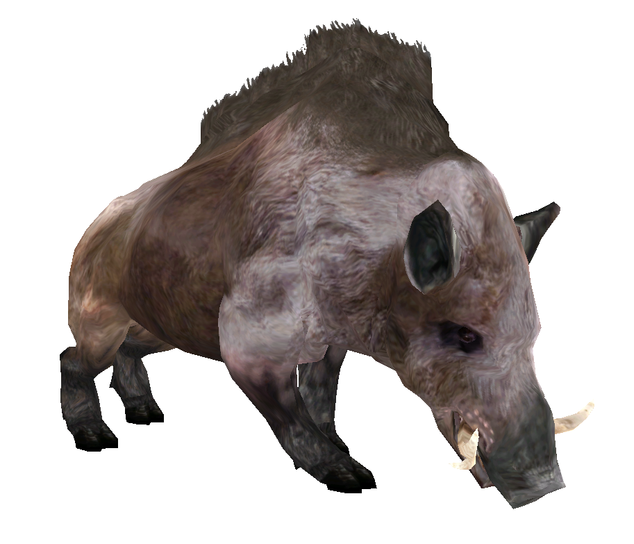 Boar PNG Free File Download