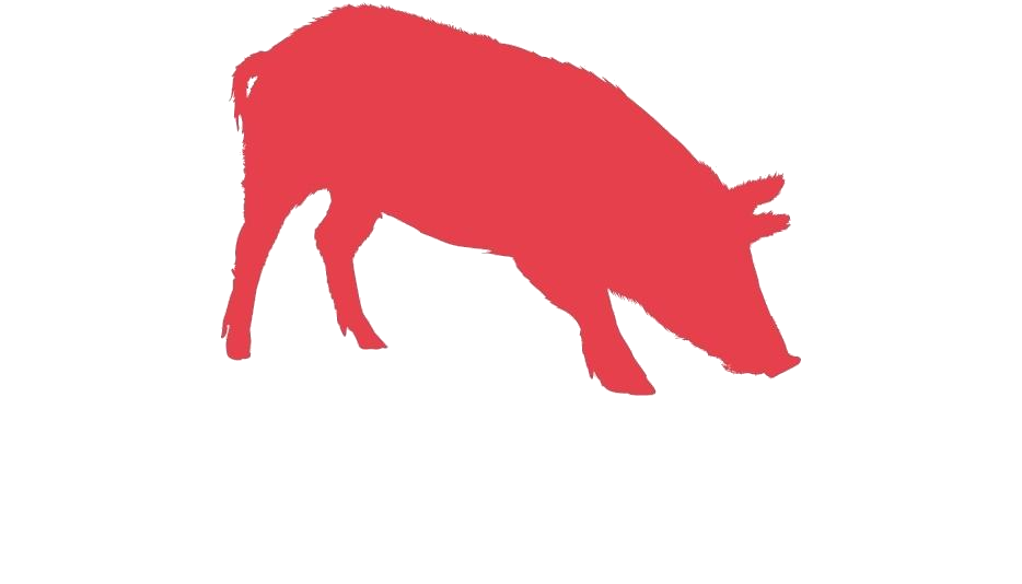 Boar PNG Pic Clip Art Background