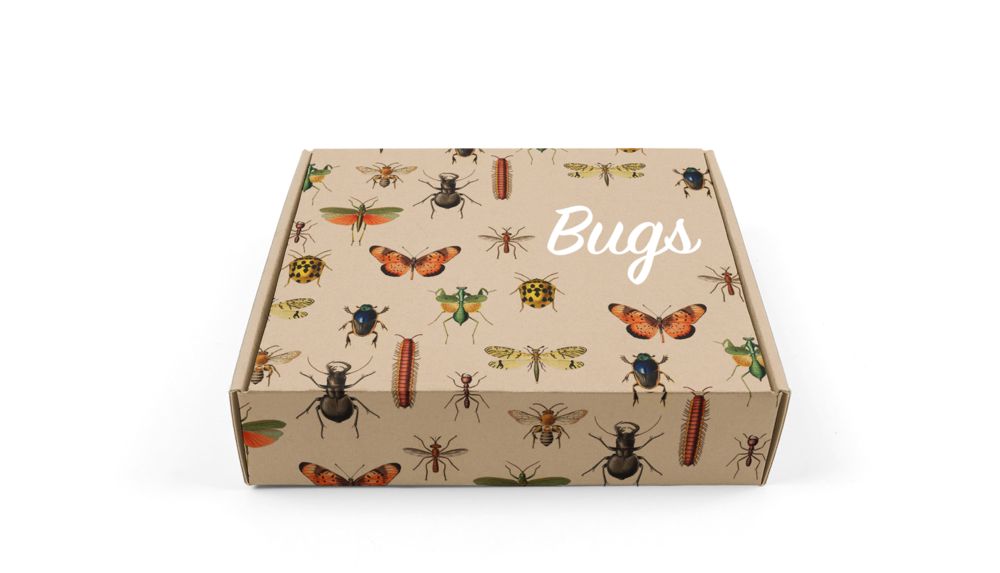 Bugs PNG HD Images