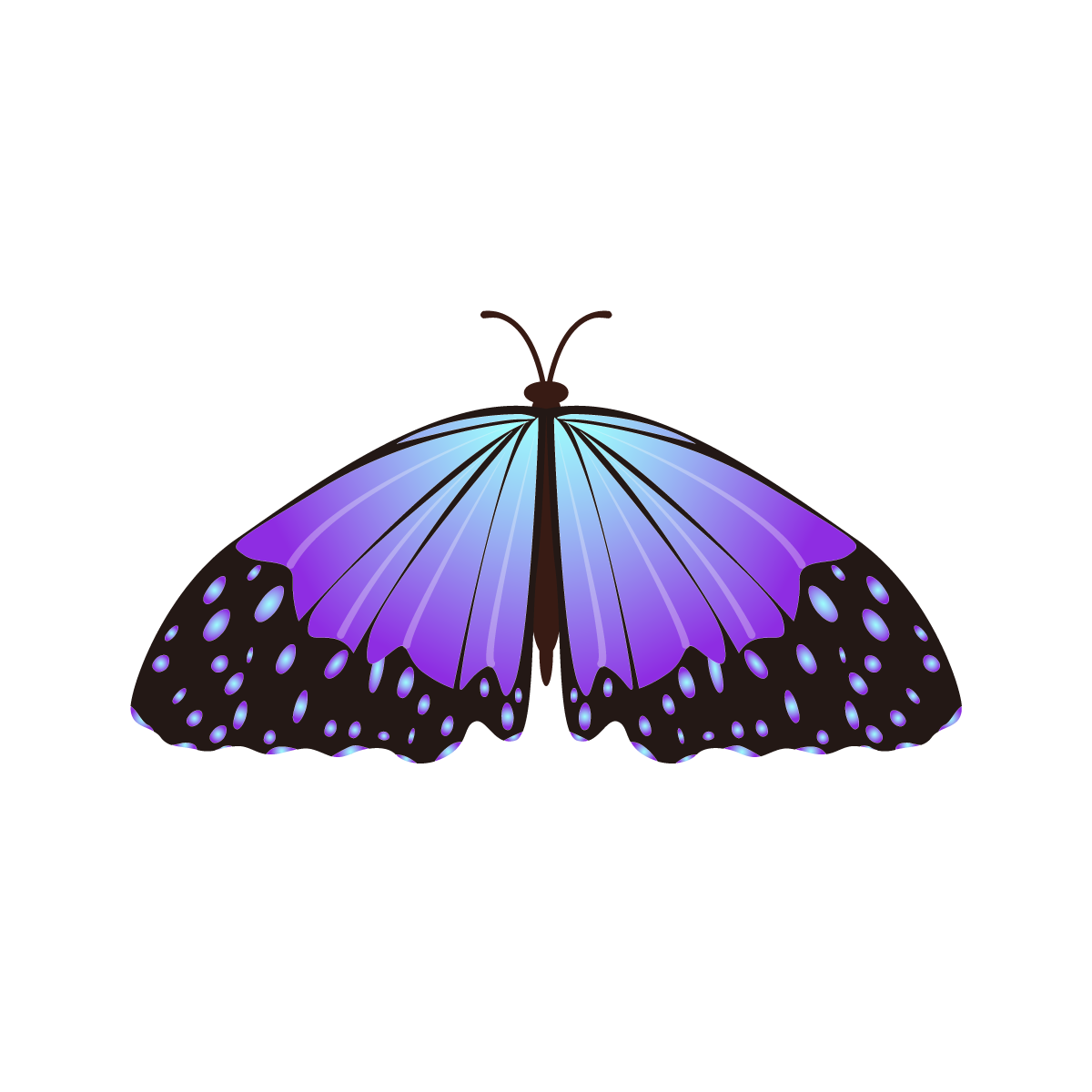 Butterfly Clip Art Free PNG