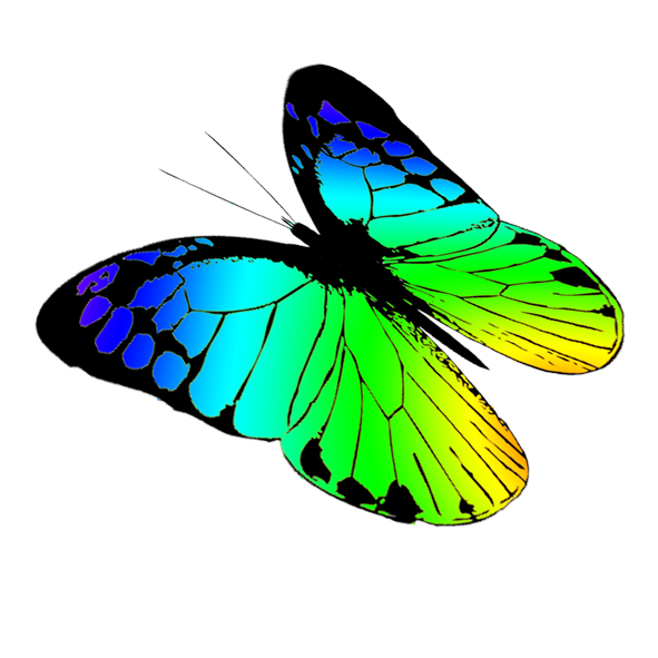 Butterfly Clip Art No Background