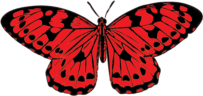 Butterfly Clip Art PNG Clipart Background
