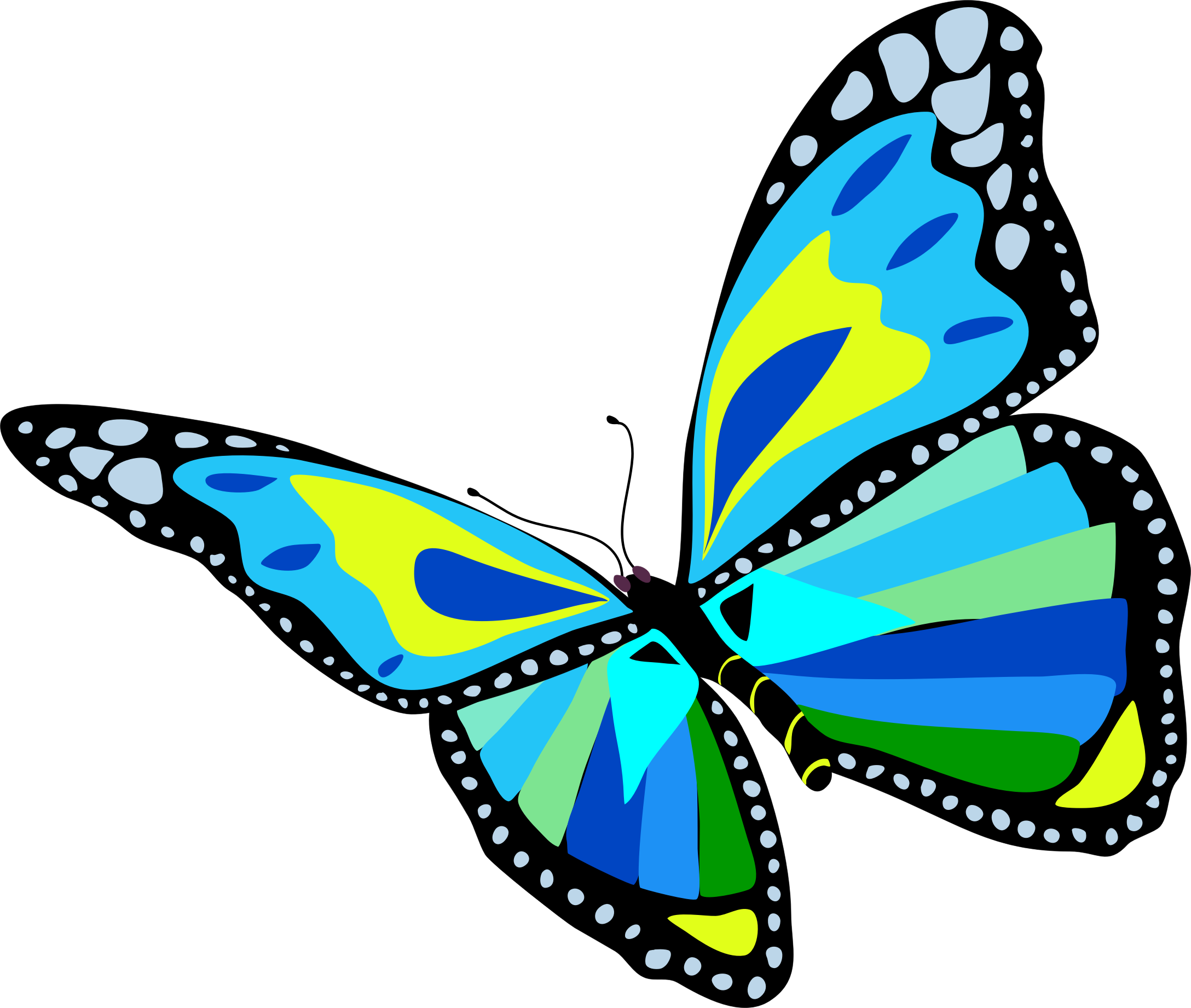 Butterfly Clip Art PNG HD Quality
