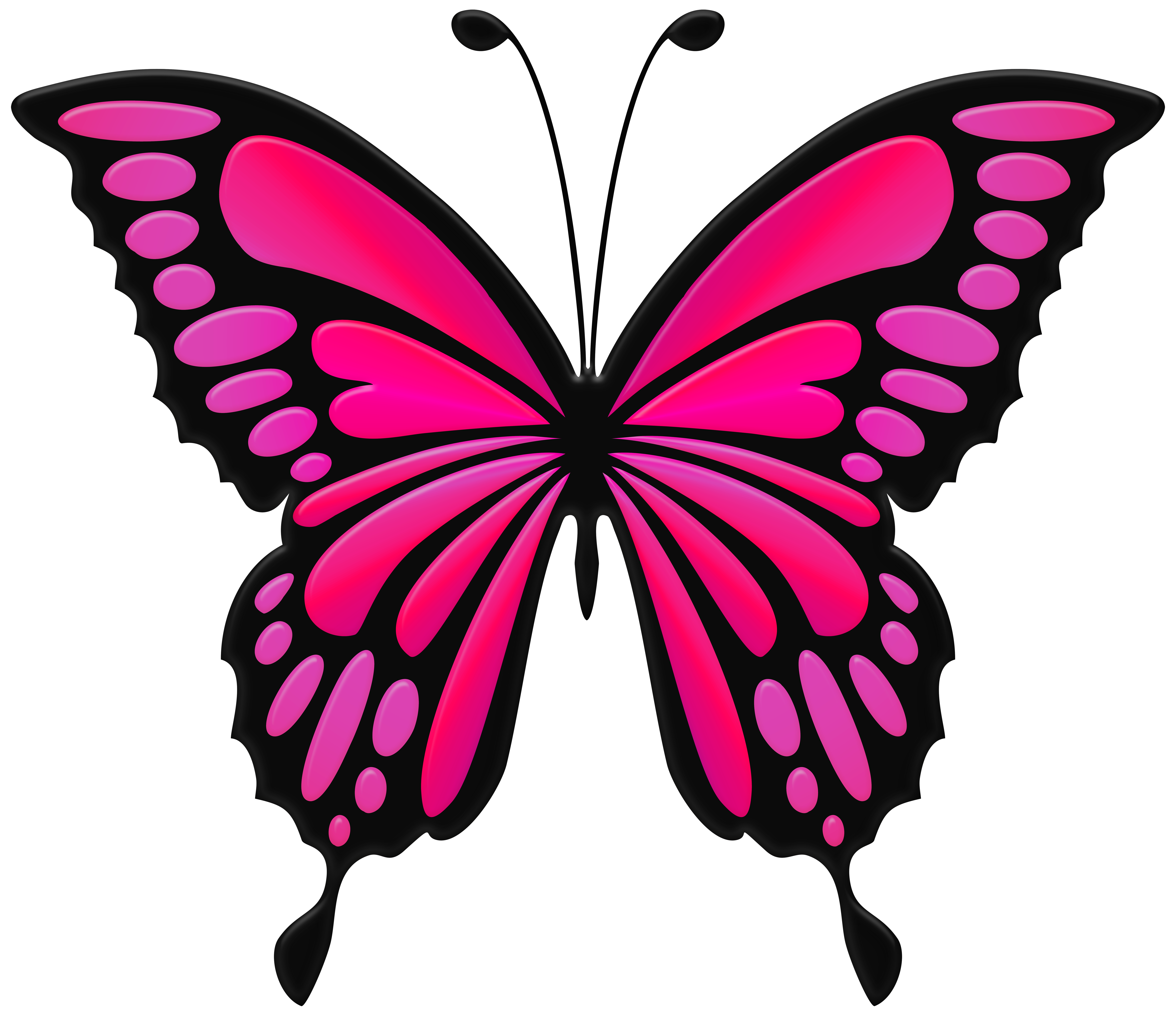 Butterfly Clip Art PNG Images HD