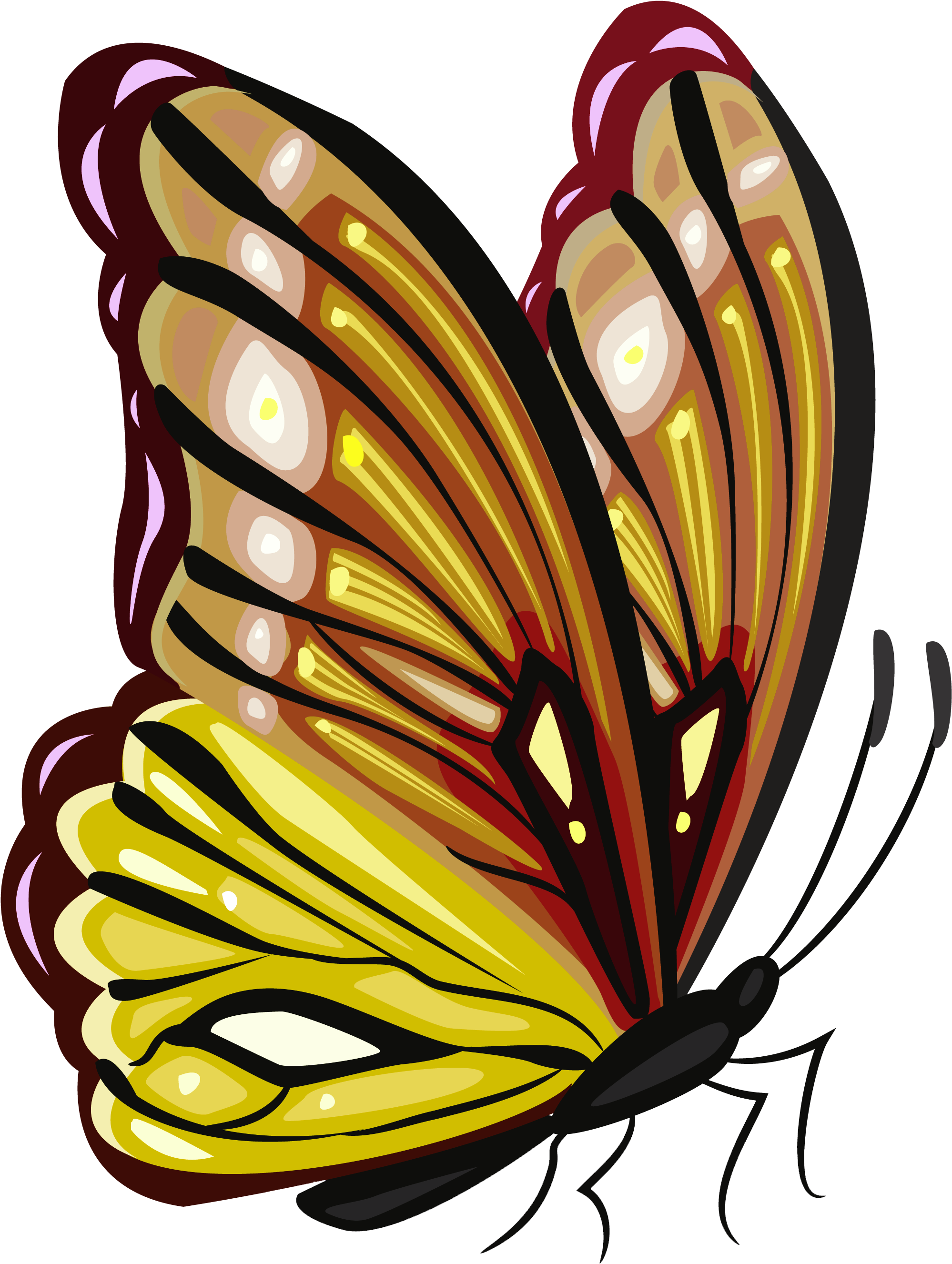 Butterfly Clip Art PNG Photo Image
