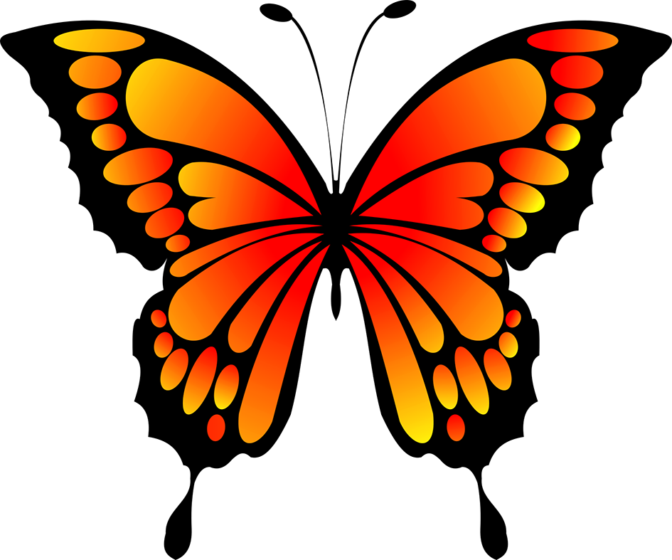Butterfly Clip Art PNG Pic Background