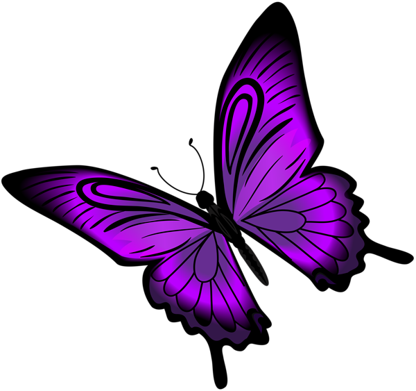 Butterfly Clip Art Transparent Free PNG