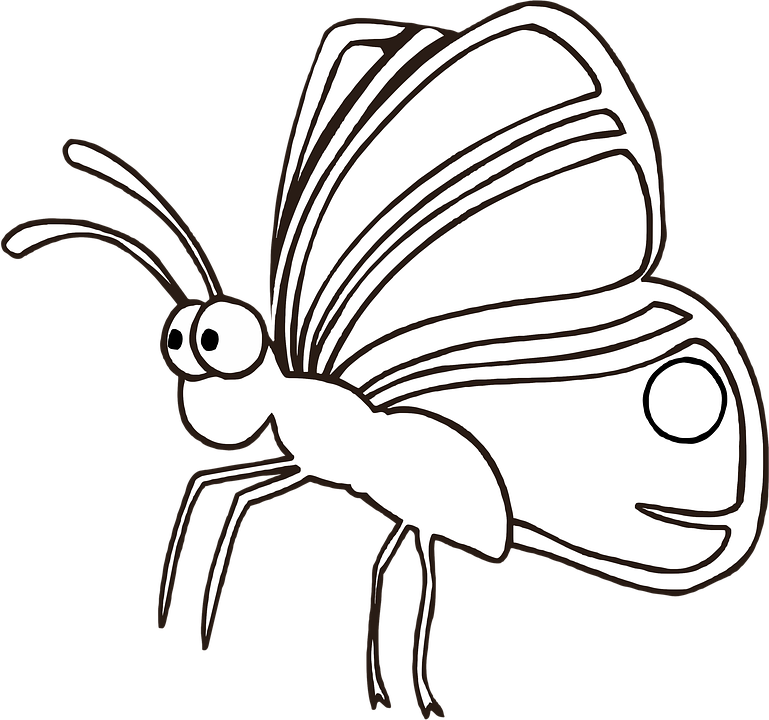 Butterfly Outline PNG Free File Download