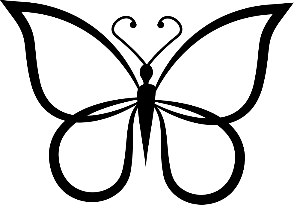 Butterfly Outline PNG Images HD