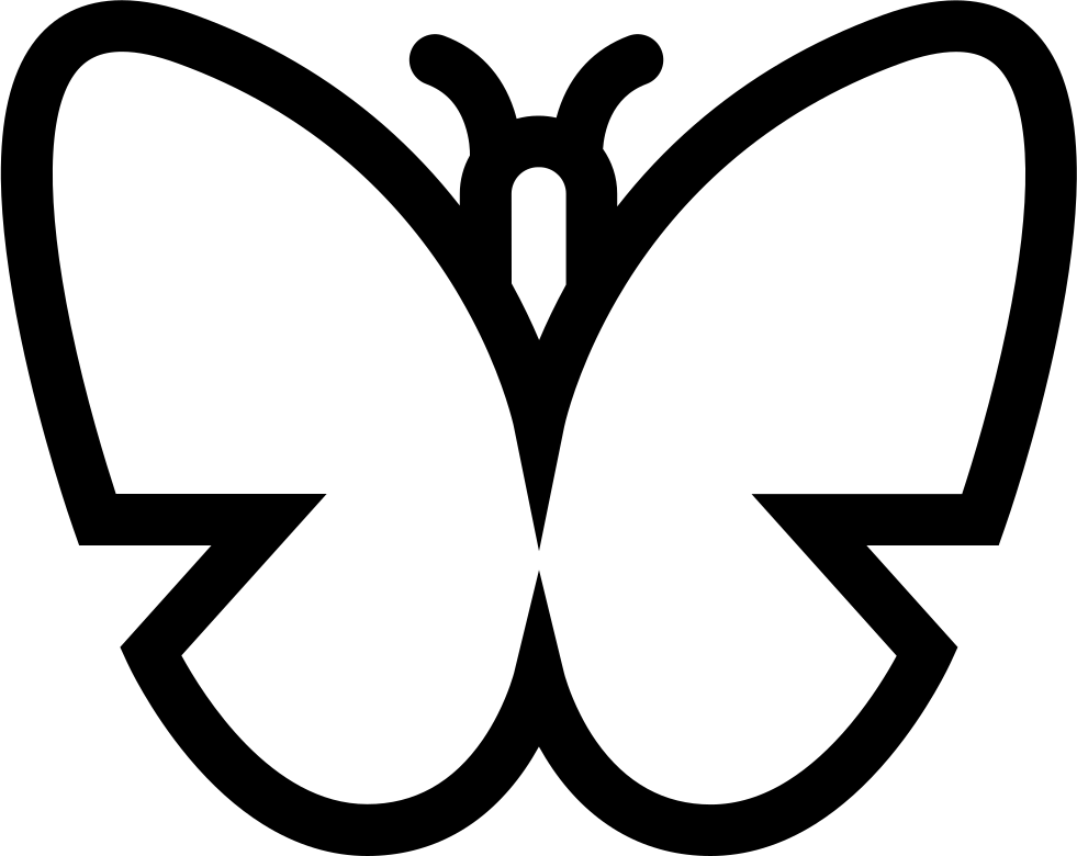 Butterfly Outline PNG Photo Image