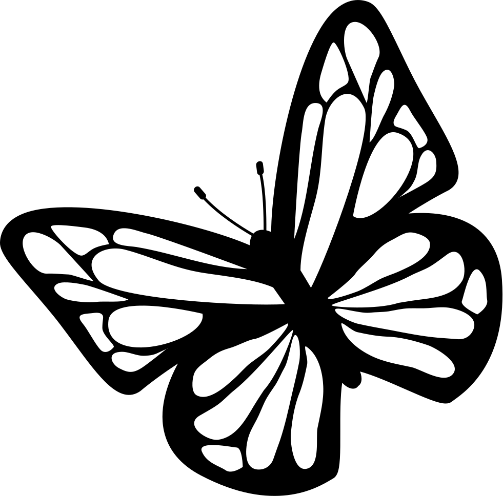 Butterfly Outline PNG Pic Background