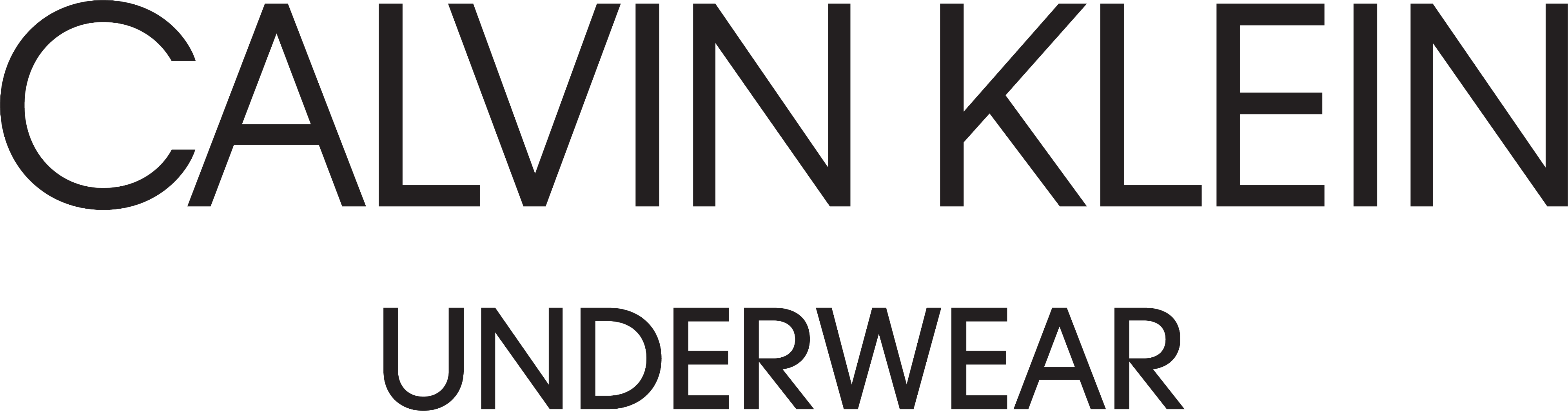 Calvin Klein Logo Transparent Free PNG