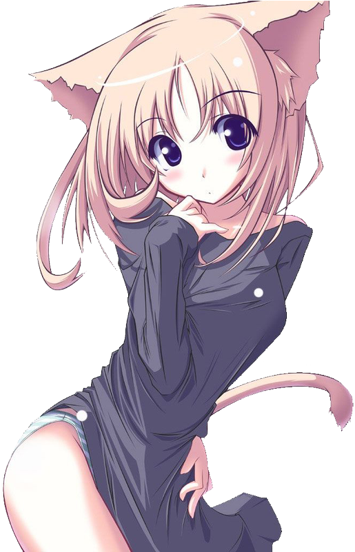 Cat Anime PNG HD Quality