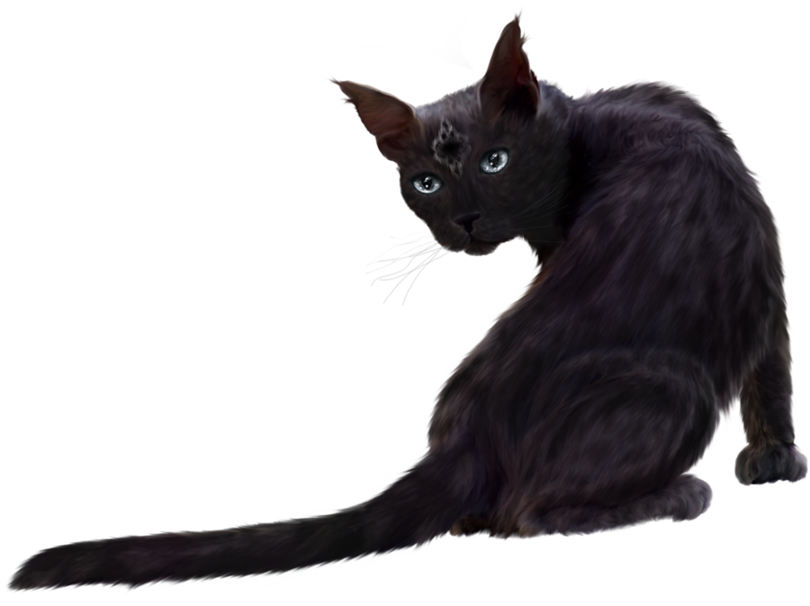 Cat Clipart PNG Free File Download