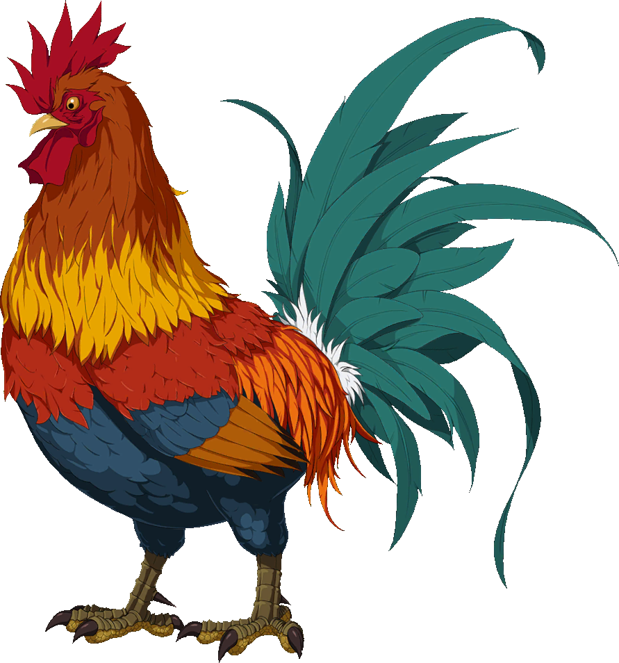 Chicken Bird Background PNG Image