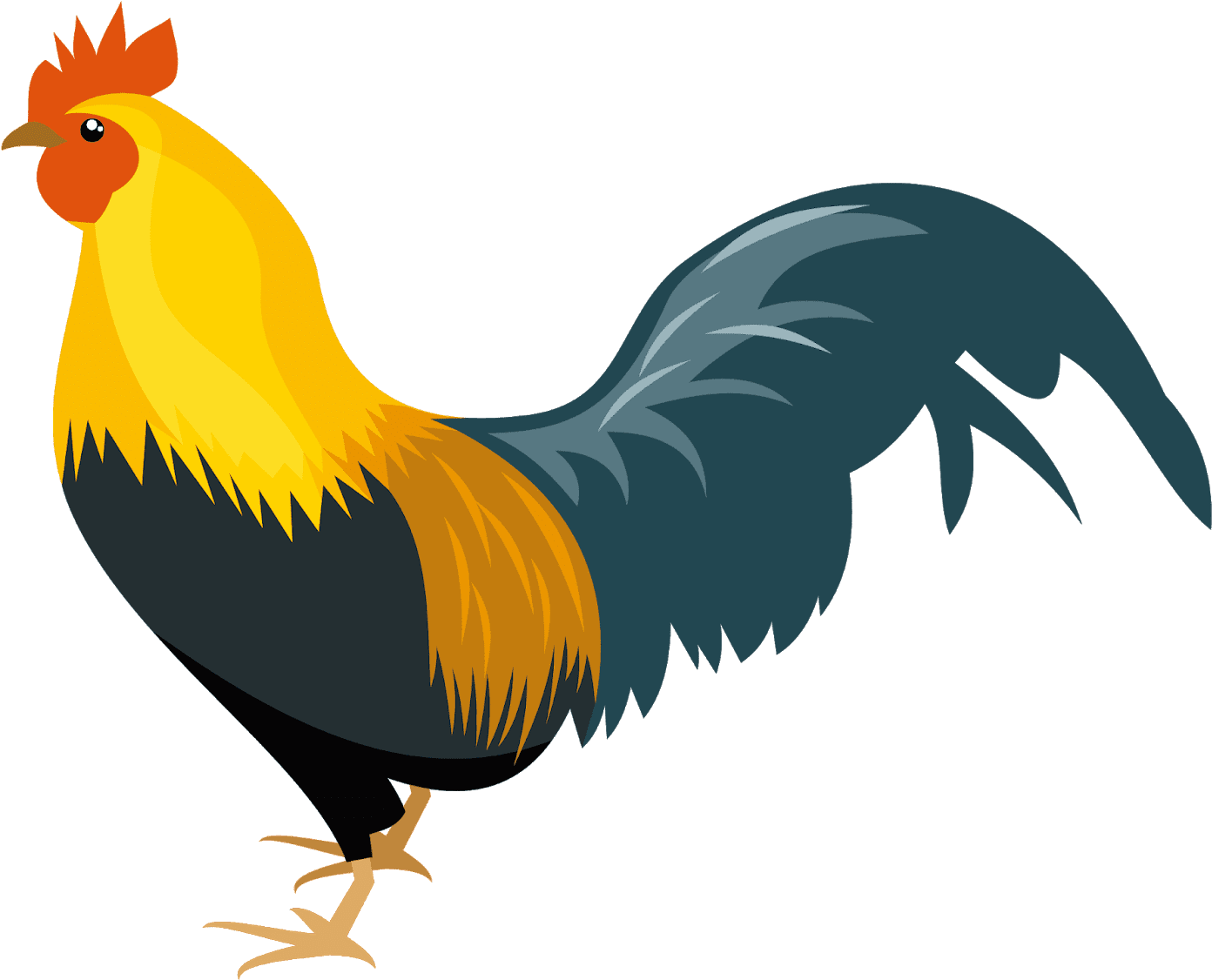 Chicken Bird Free PNG Clip Art