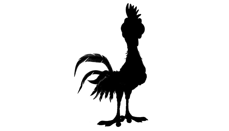 Chicken Bird PNG Free File Download