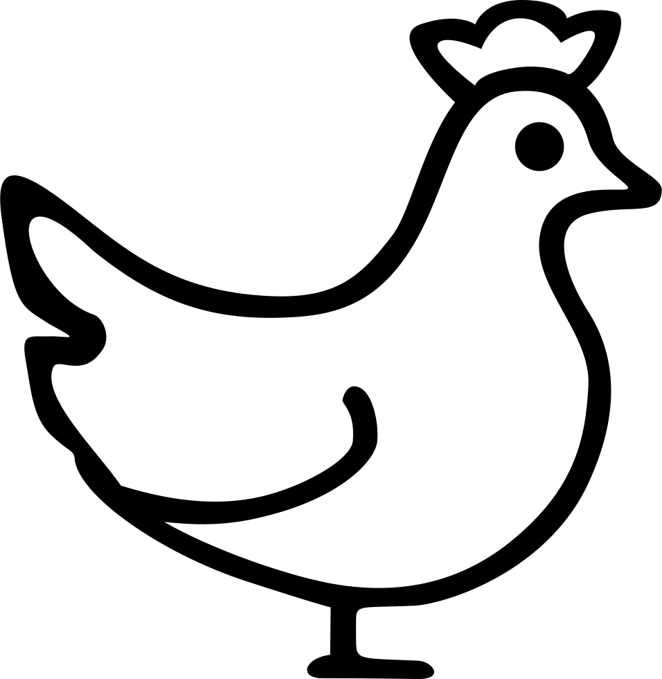 Chicken Bird PNG Images HD