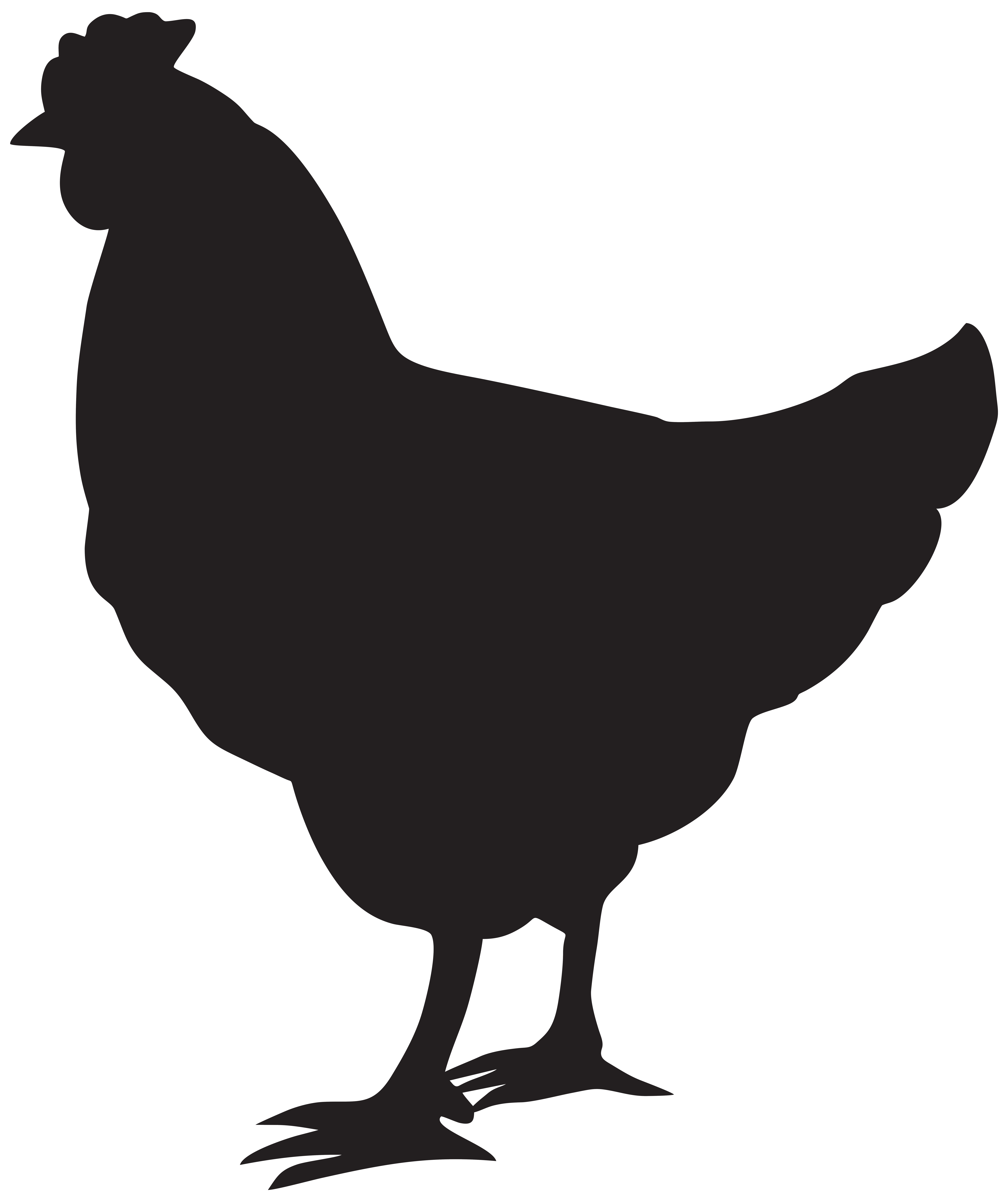 Chicken Bird PNG Photo Clip Art Image