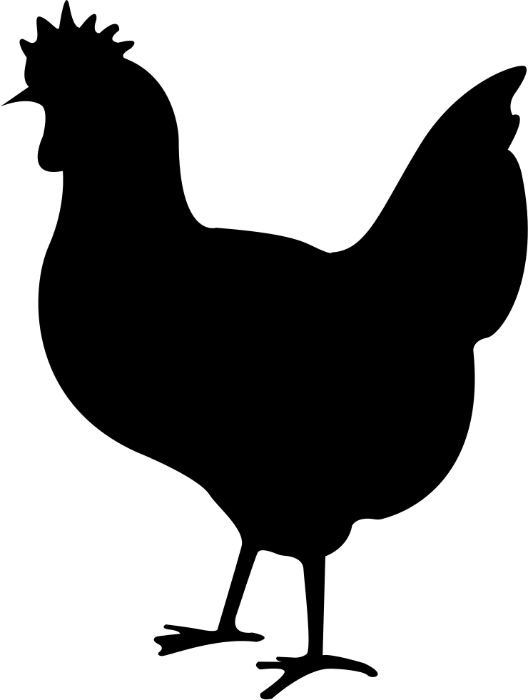 Chicken Bird PNG Pic Background