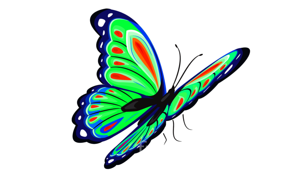 Clip Art Butterfly Background PNG
