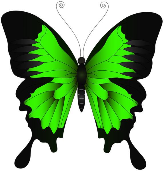 Clip Art Butterfly PNG Clipart Background