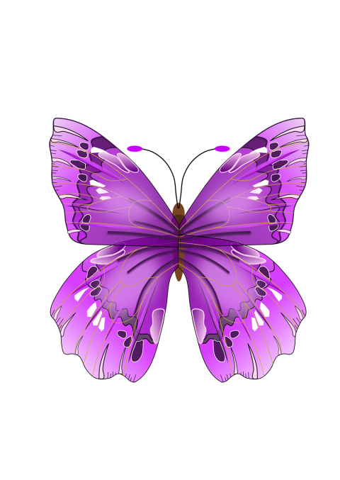 Clip Art Butterfly PNG Pic Background
