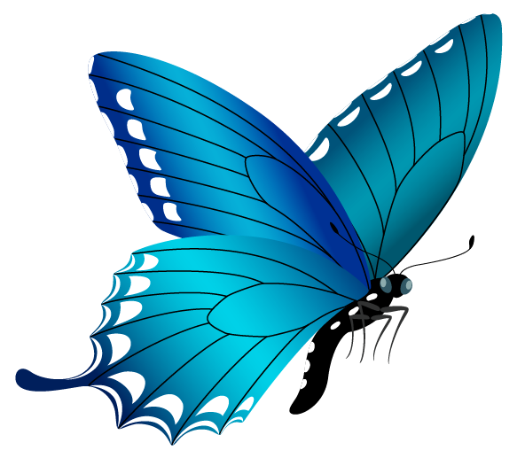 Clip Art Butterfly Transparent File