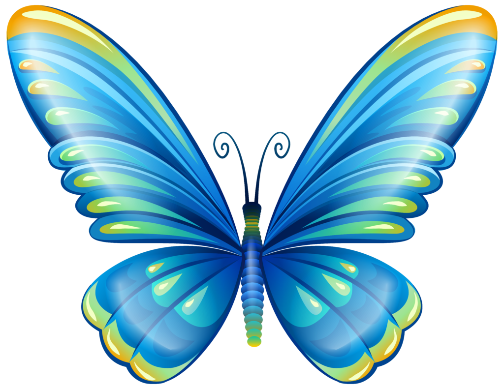 Clip Art Butterfly Transparent Free PNG
