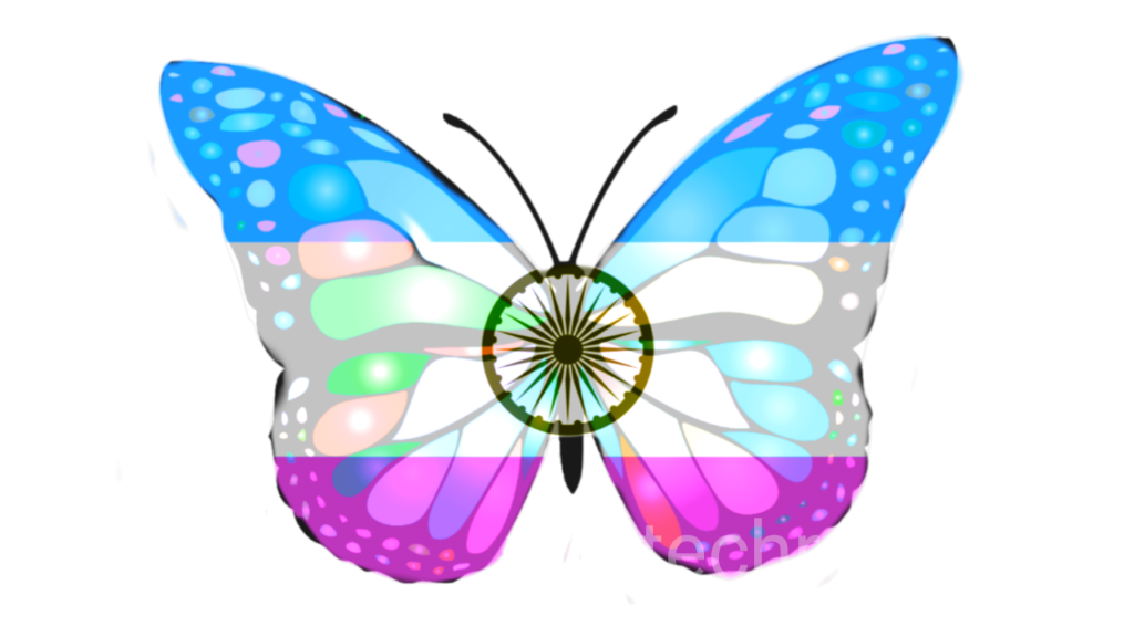 Clip Art Butterfly Transparent Image
