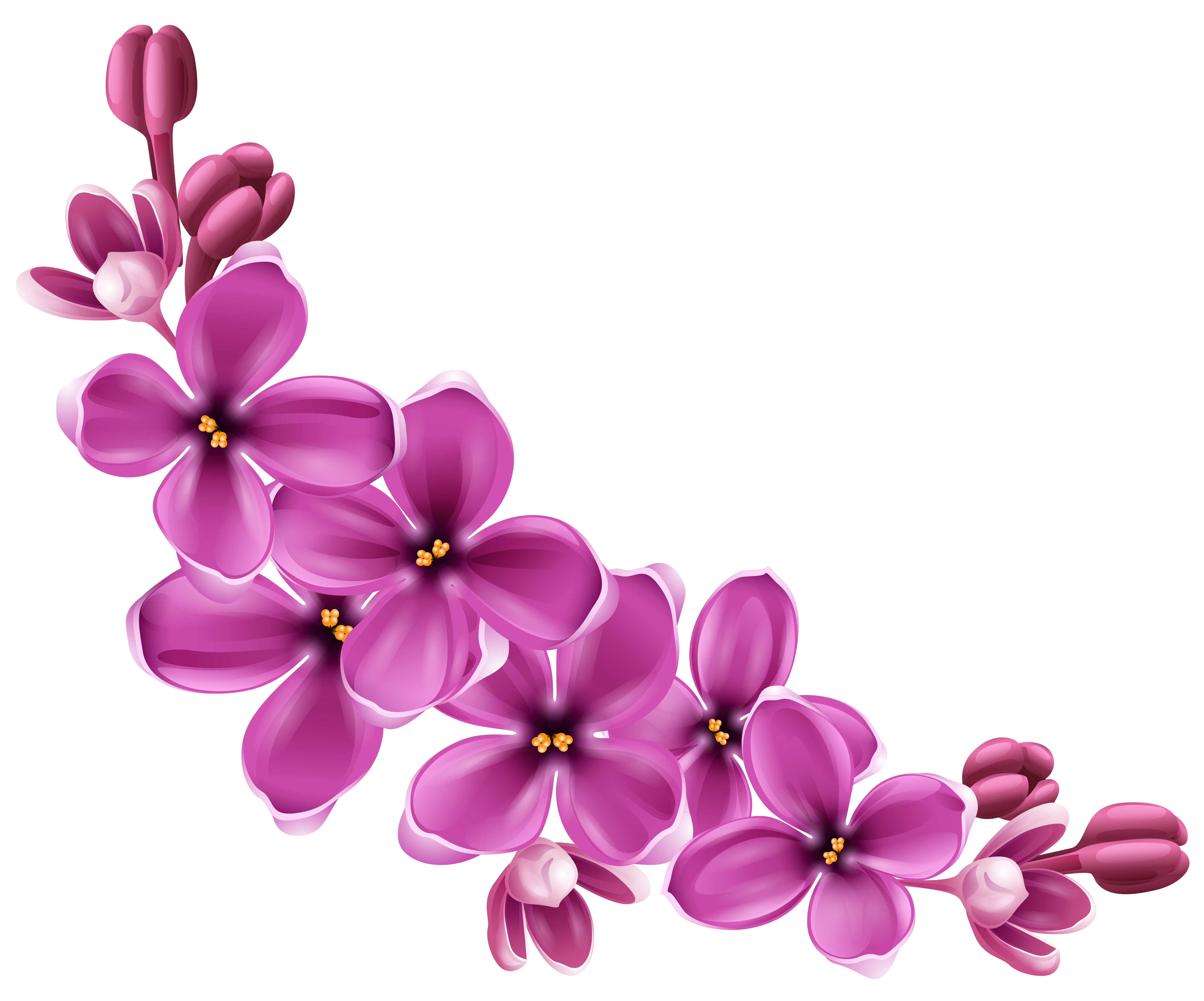 Clip Art Flower Background PNG