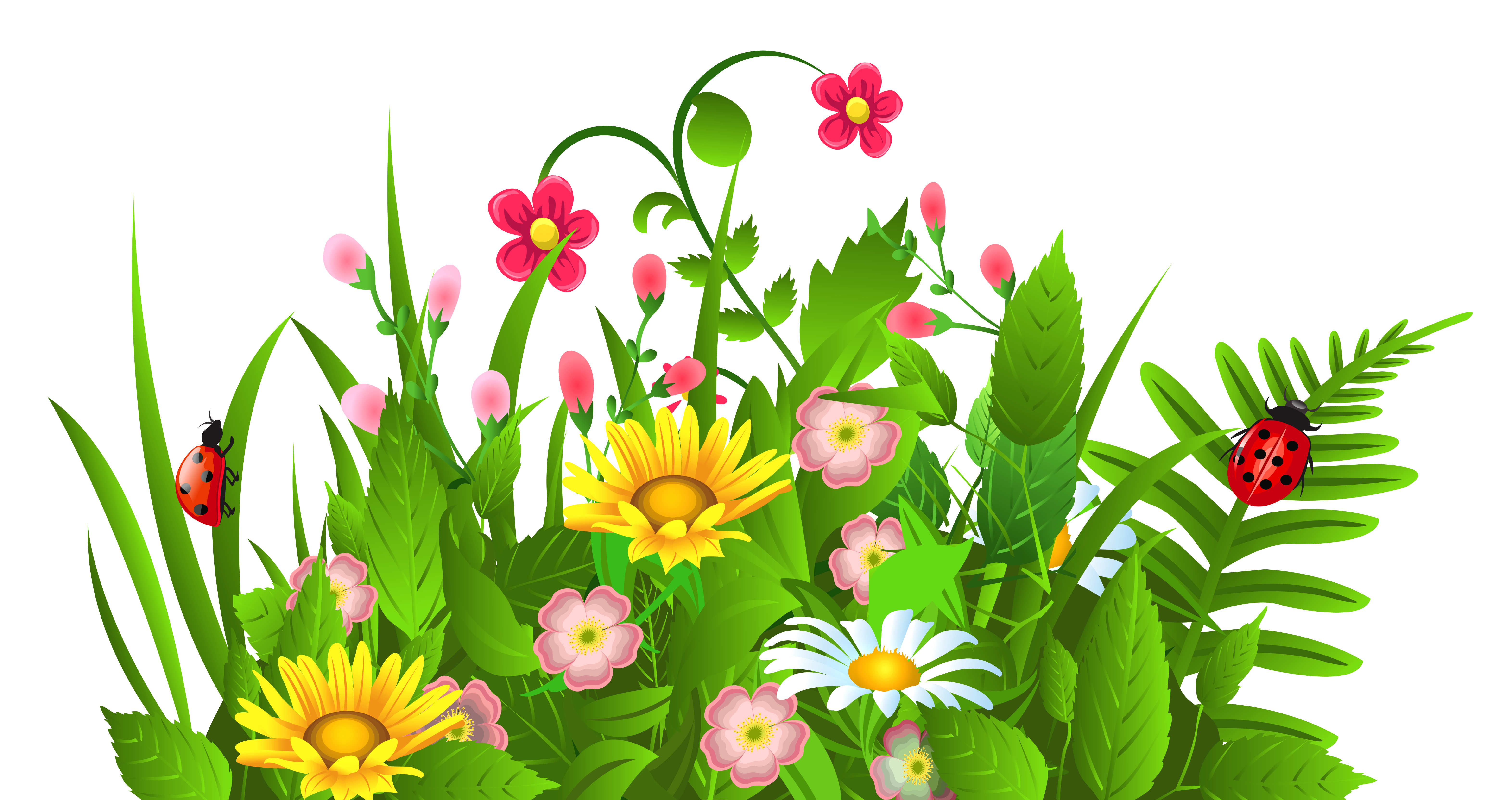 Clip Art Flower Transparent Background