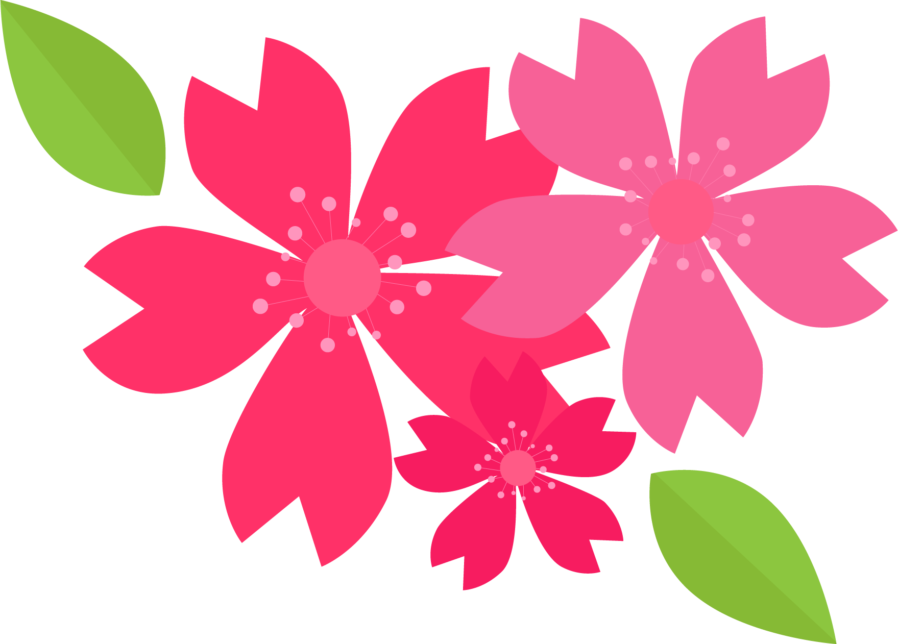 Clip Art Flowers Download Free PNG