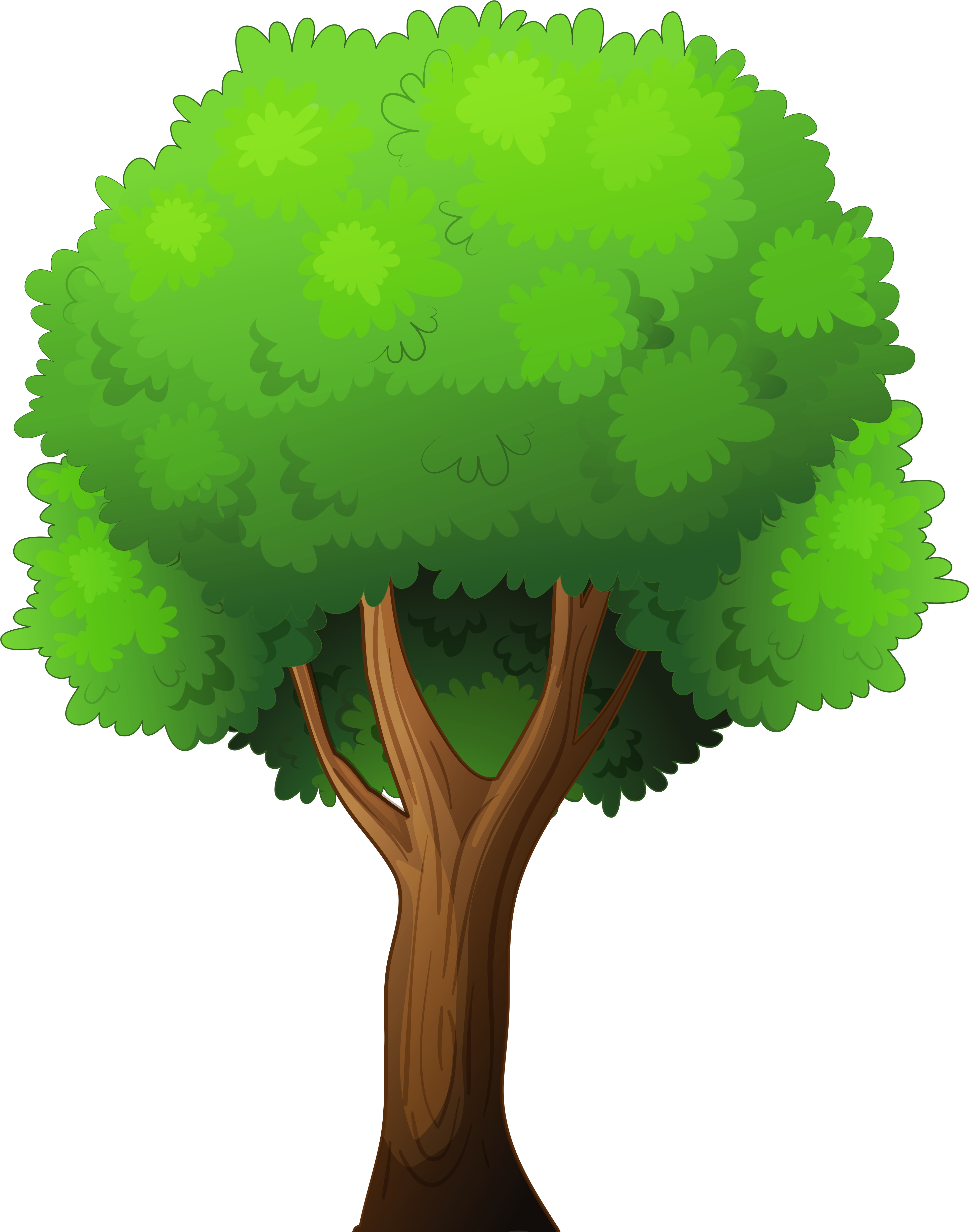 Clipart Of Tree PNG Clipart Background