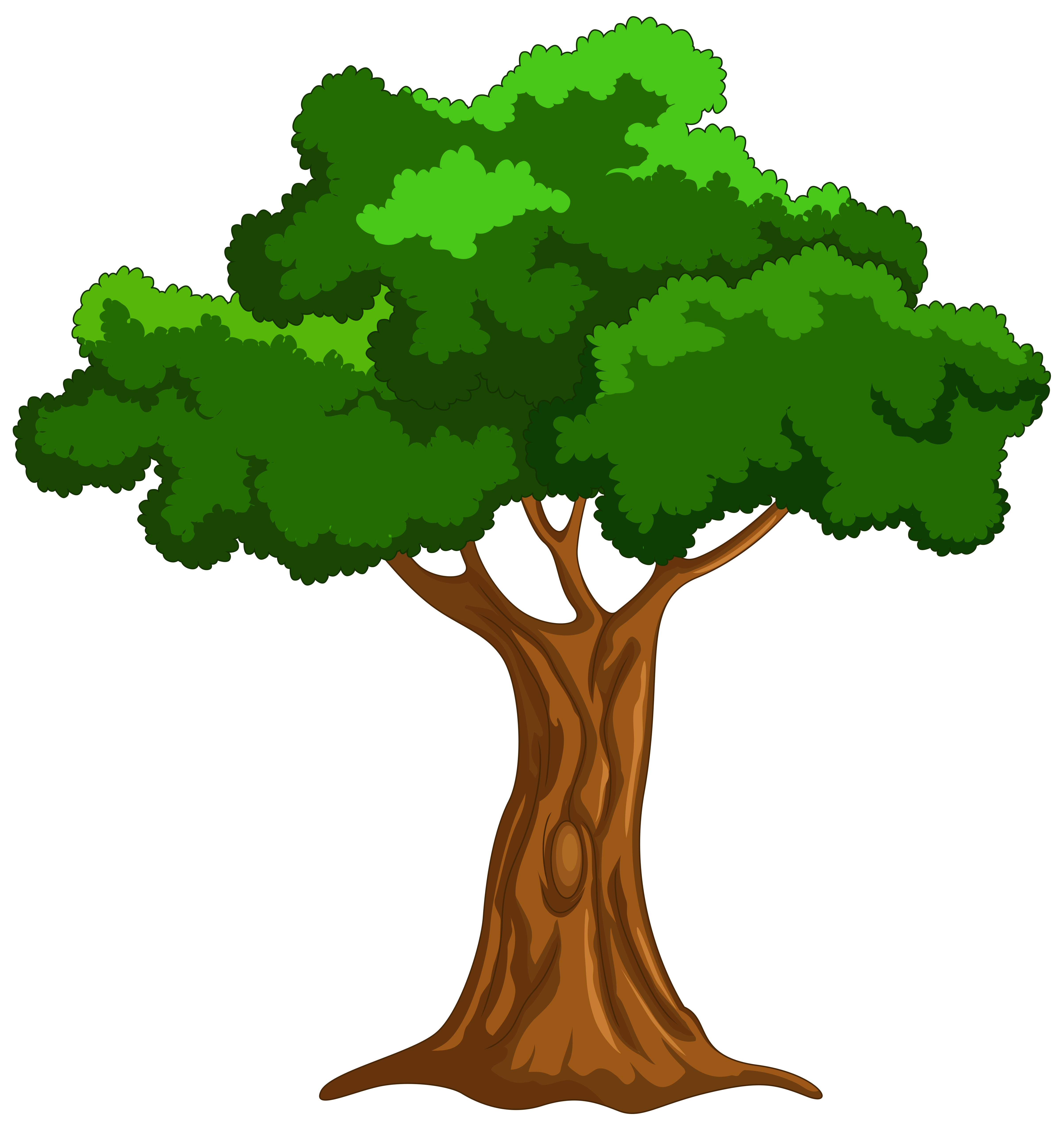 Clipart Of Tree Transparent File